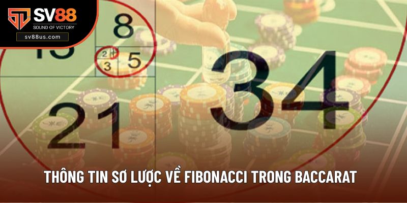 Thông tin sơ lược về Fibonacci trong Baccarat